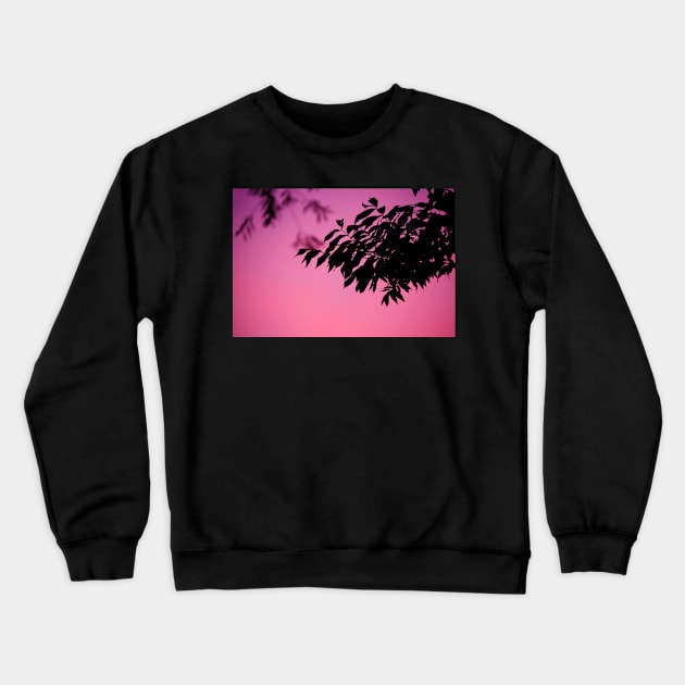 trees Crewneck Sweatshirt by CurlyDesigns